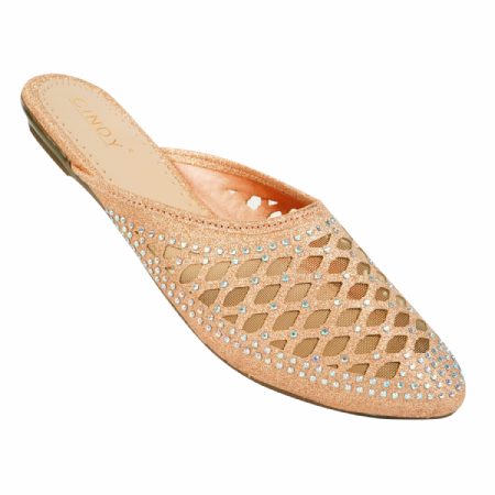 Elegant Indian Bridal Shoe